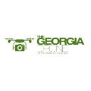 The Georgia Drone, LLC logo